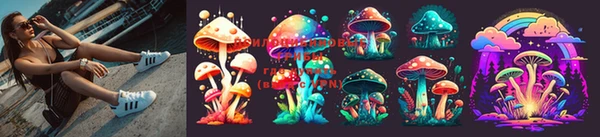 шишки Белоозёрский