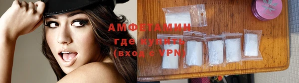шишки Белоозёрский
