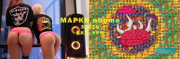 стафф Белокуриха