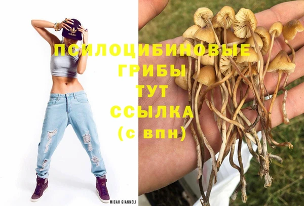 шишки Белоозёрский