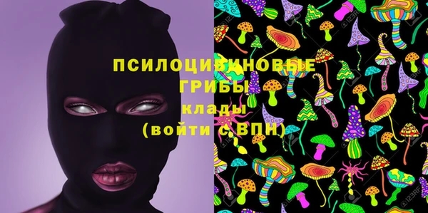 стафф Белокуриха